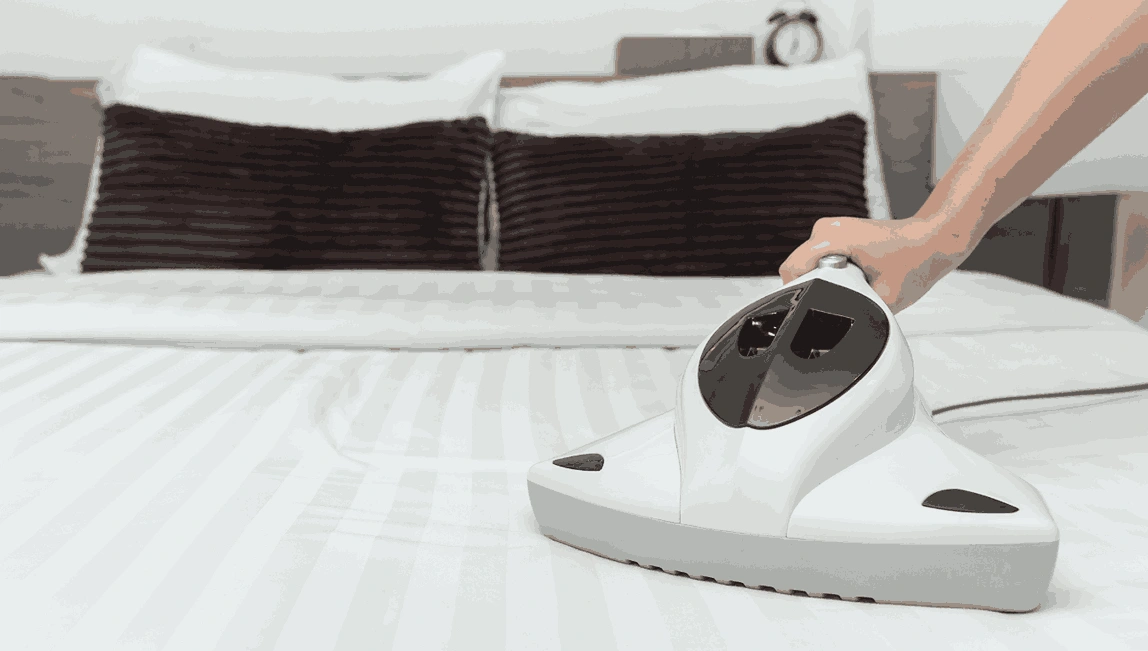 Professional Mattress Cleaning Brighton